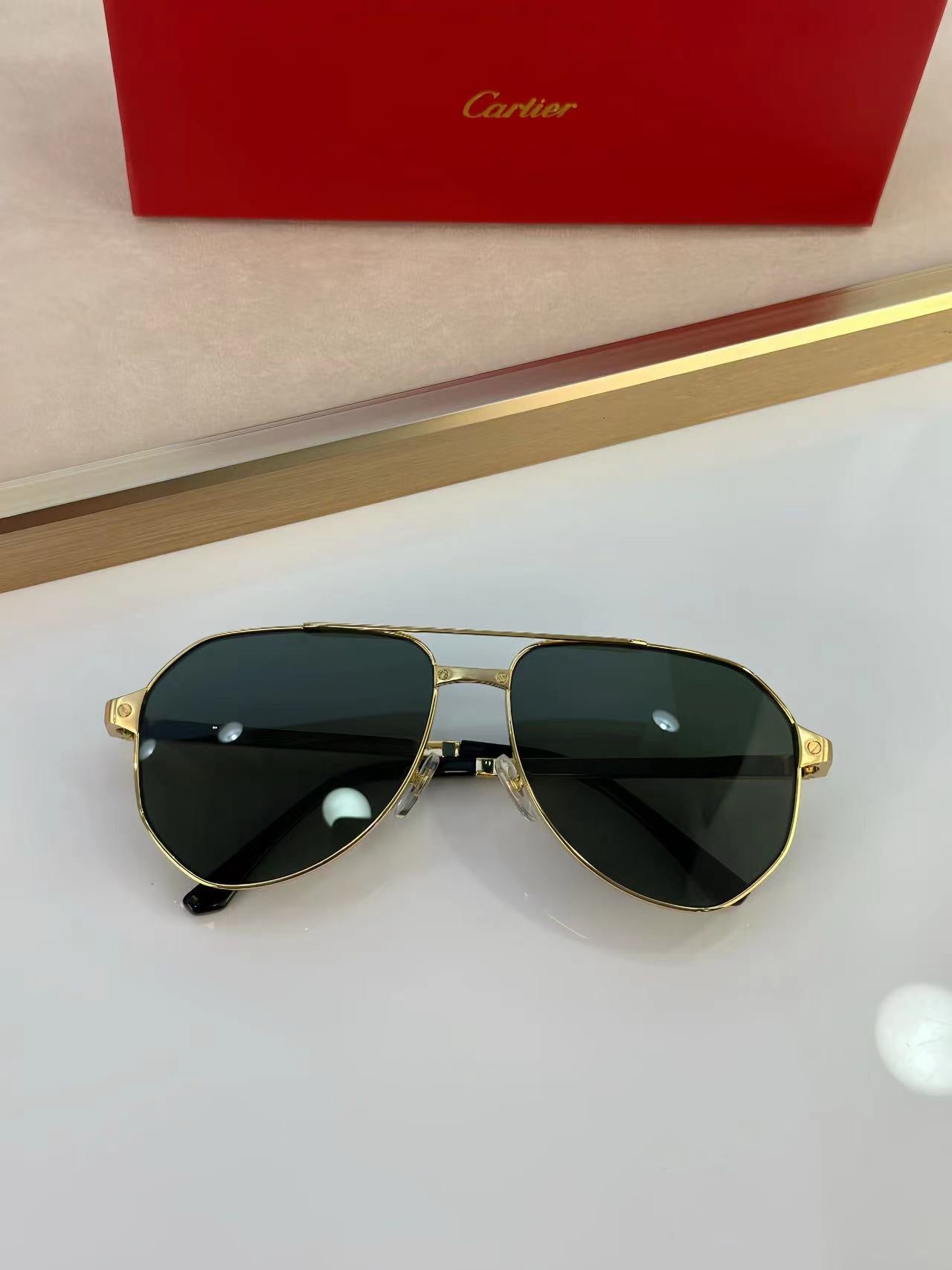 Cartier CT0461S Sunglasses