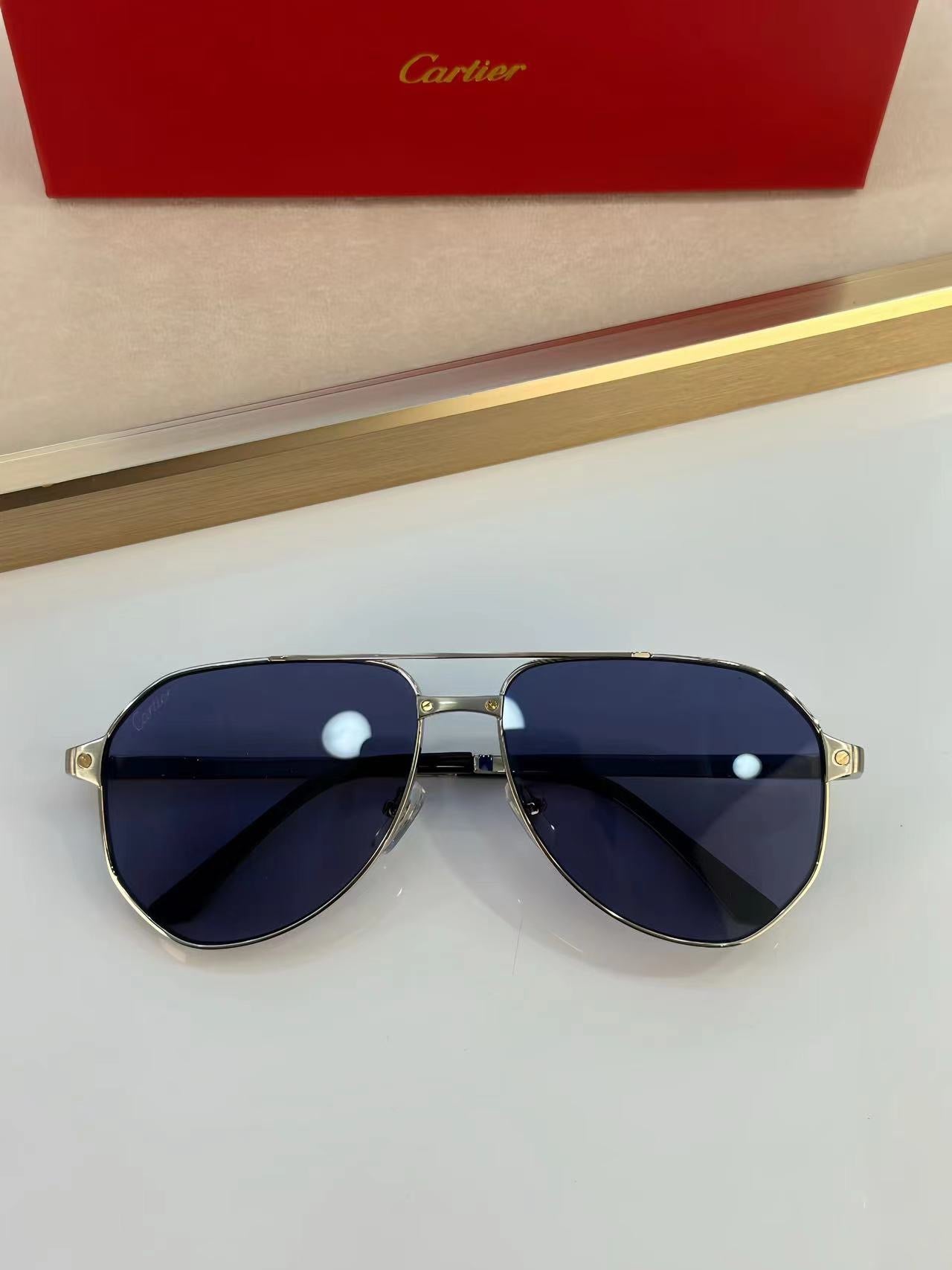 Cartier CT0461S Sunglasses