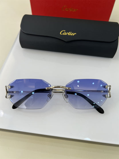 Cartier Diamond Cut Big C Frame Sunglasses