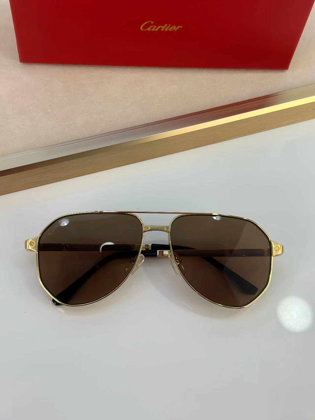 Cartier CT0461S Sunglasses