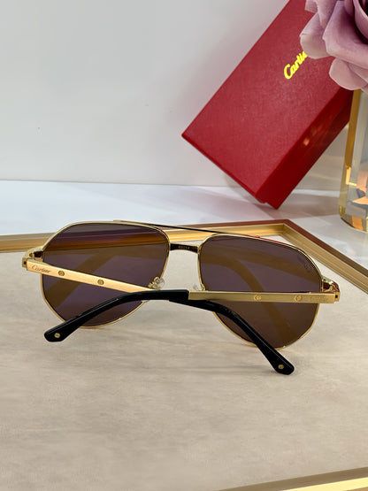 Cartier CT0461S Sunglasses