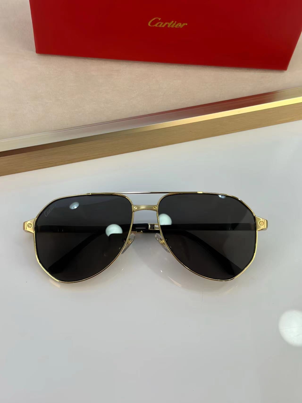 Cartier CT0461S Sunglasses