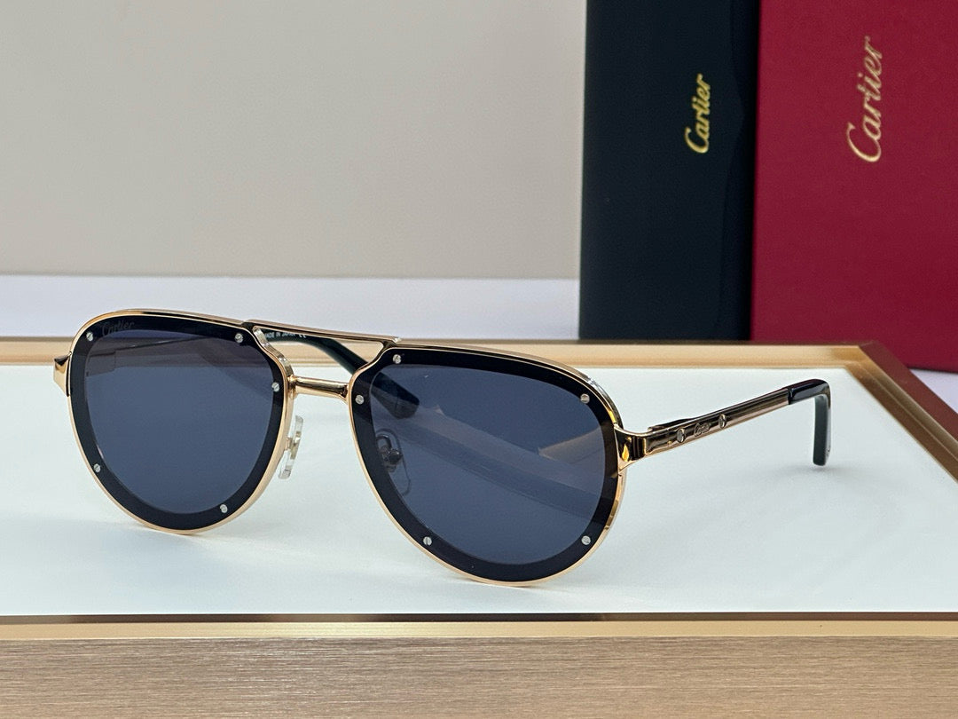 Cartier CT0195S Sunglasses