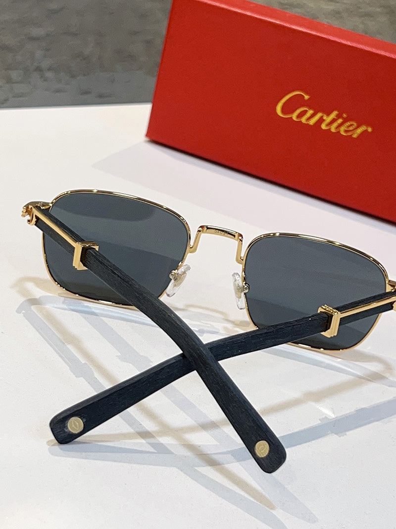 Cartier CT0363S