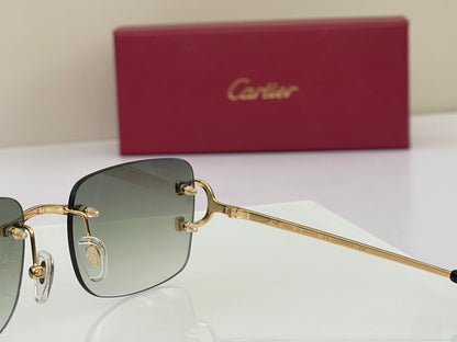 Cartier Rectangle Frame CT0104S Sunglasses