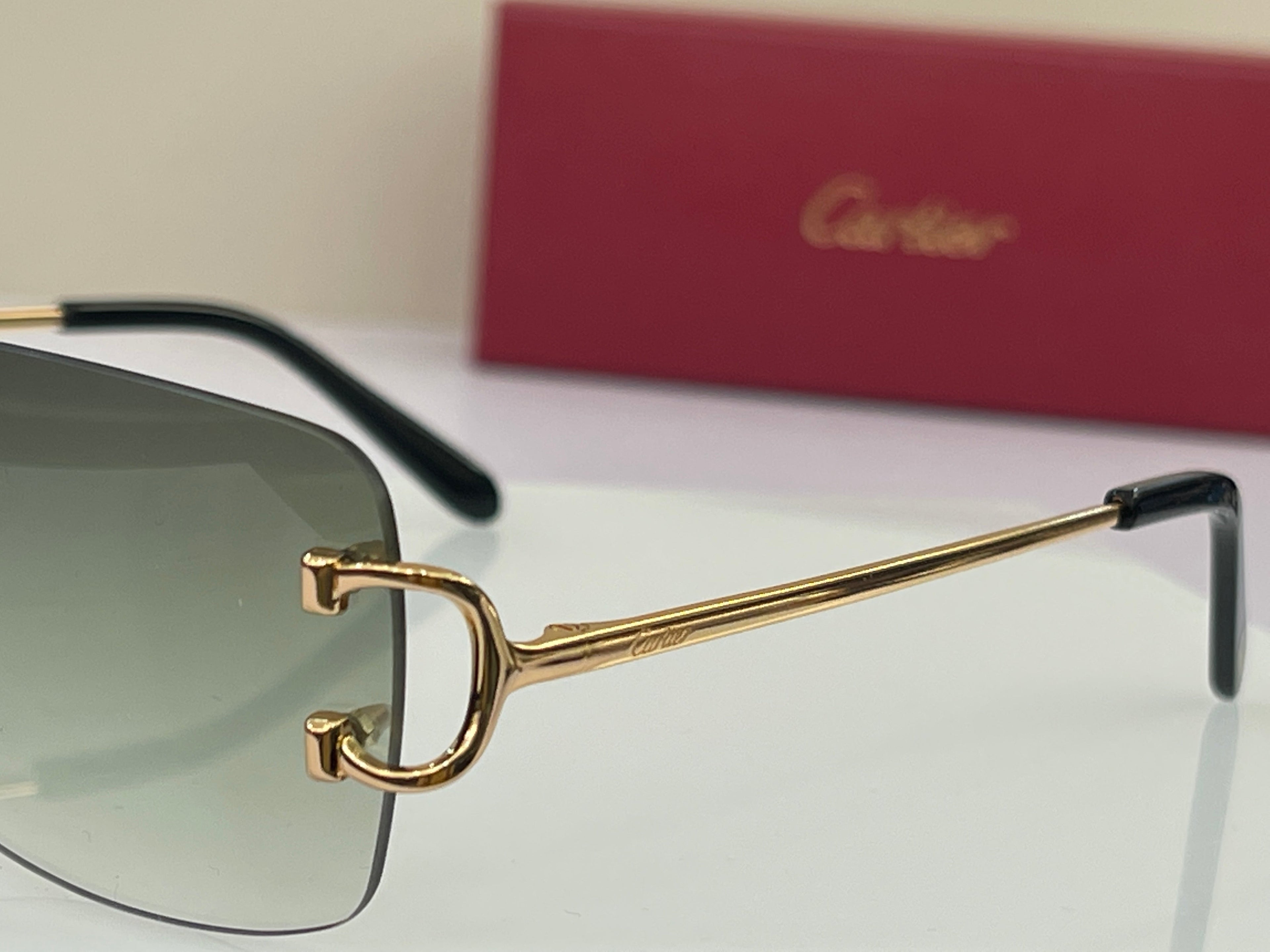 Cartier Rectangle Frame CT0104S Sunglasses