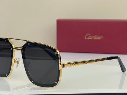 Cartier CT0194S Sunglasses