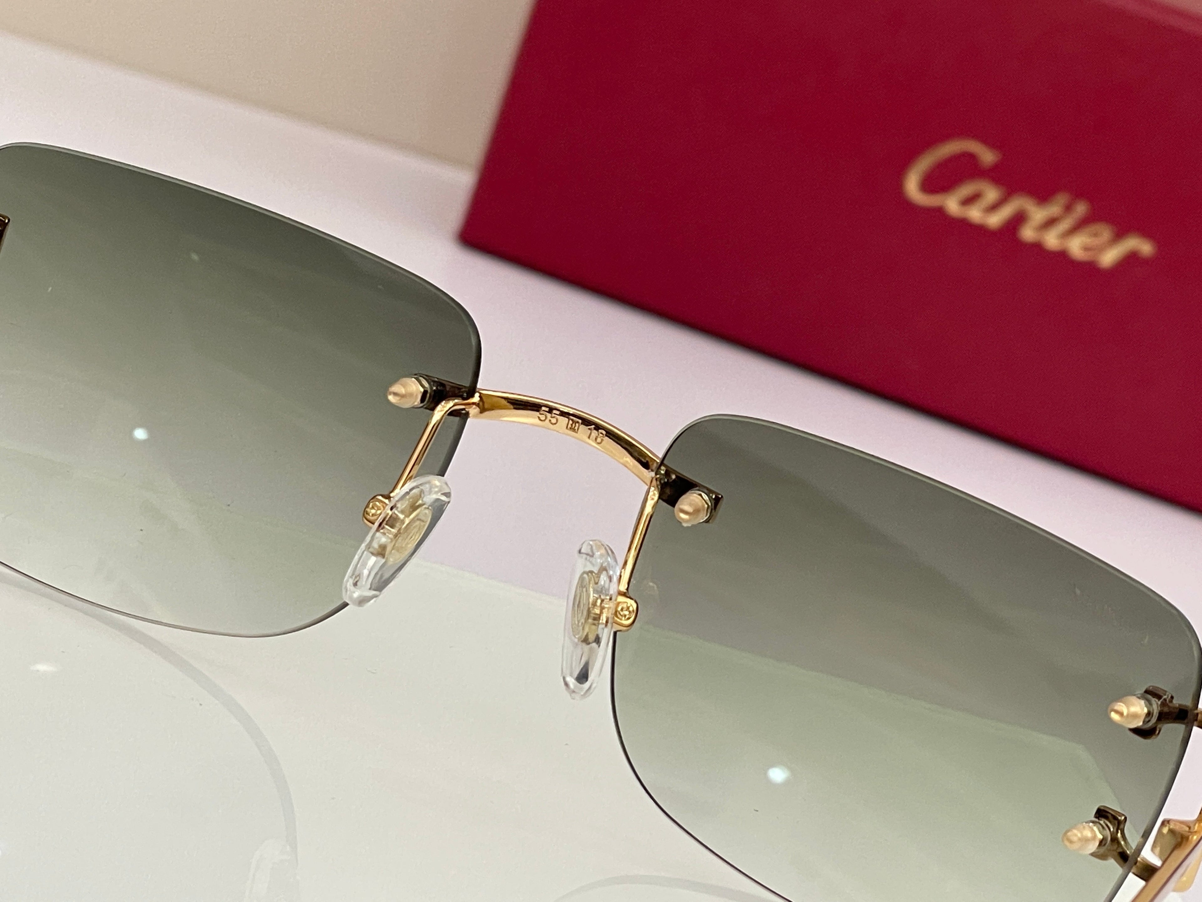 Cartier Rectangle Frame CT0104S Sunglasses