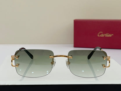 Cartier Rectangle Frame CT0104S Sunglasses